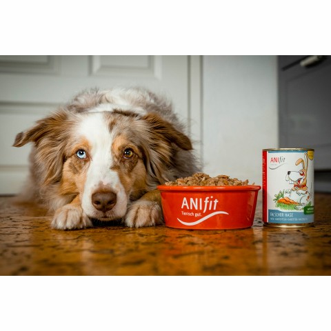 Hund Hundefutter Nassfutter Falscher Hase 200g 6 Stück -3- Anifit
